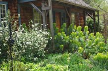 Cottage Garden