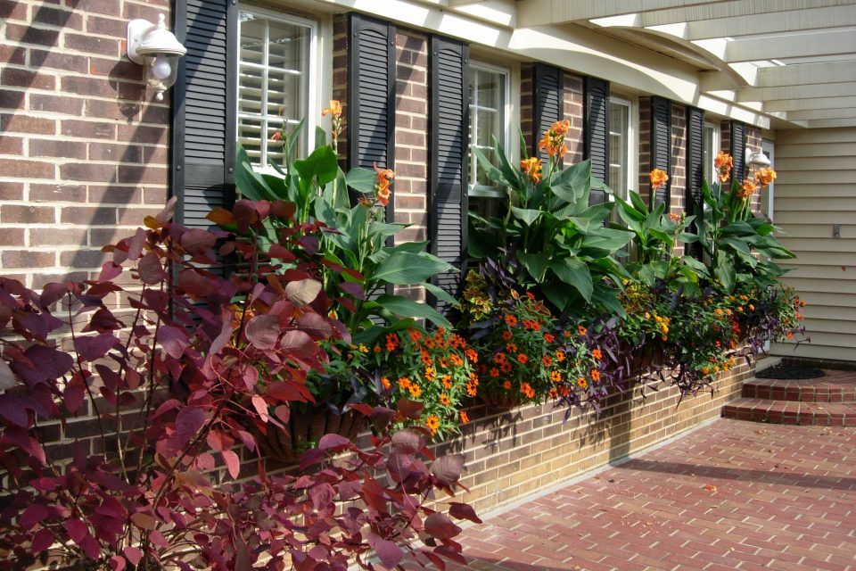 Kass Window Baskets 9-11 012