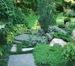 Dad in His Garden 6-2010 003