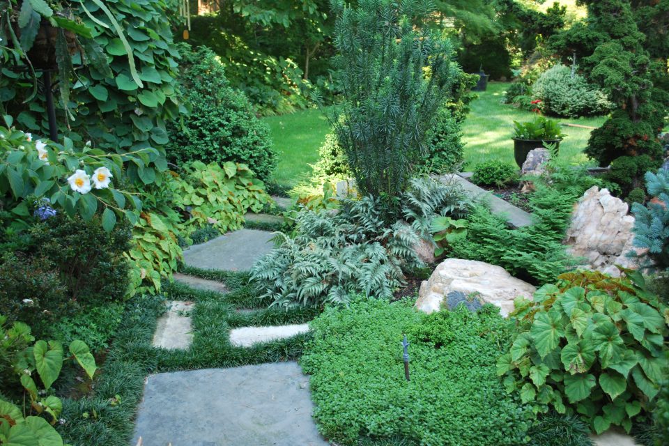 Dad in His Garden 6-2010 003