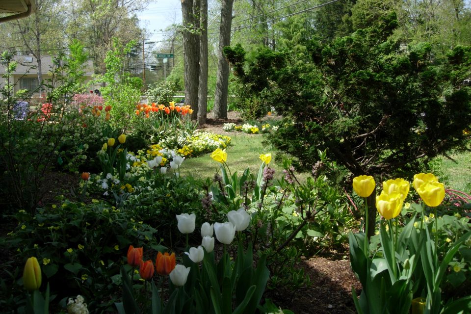 Moitrier Garden spring 2005