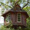 Tree House